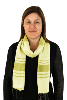 Image Silk/Linen With Silk Stripes - VSG